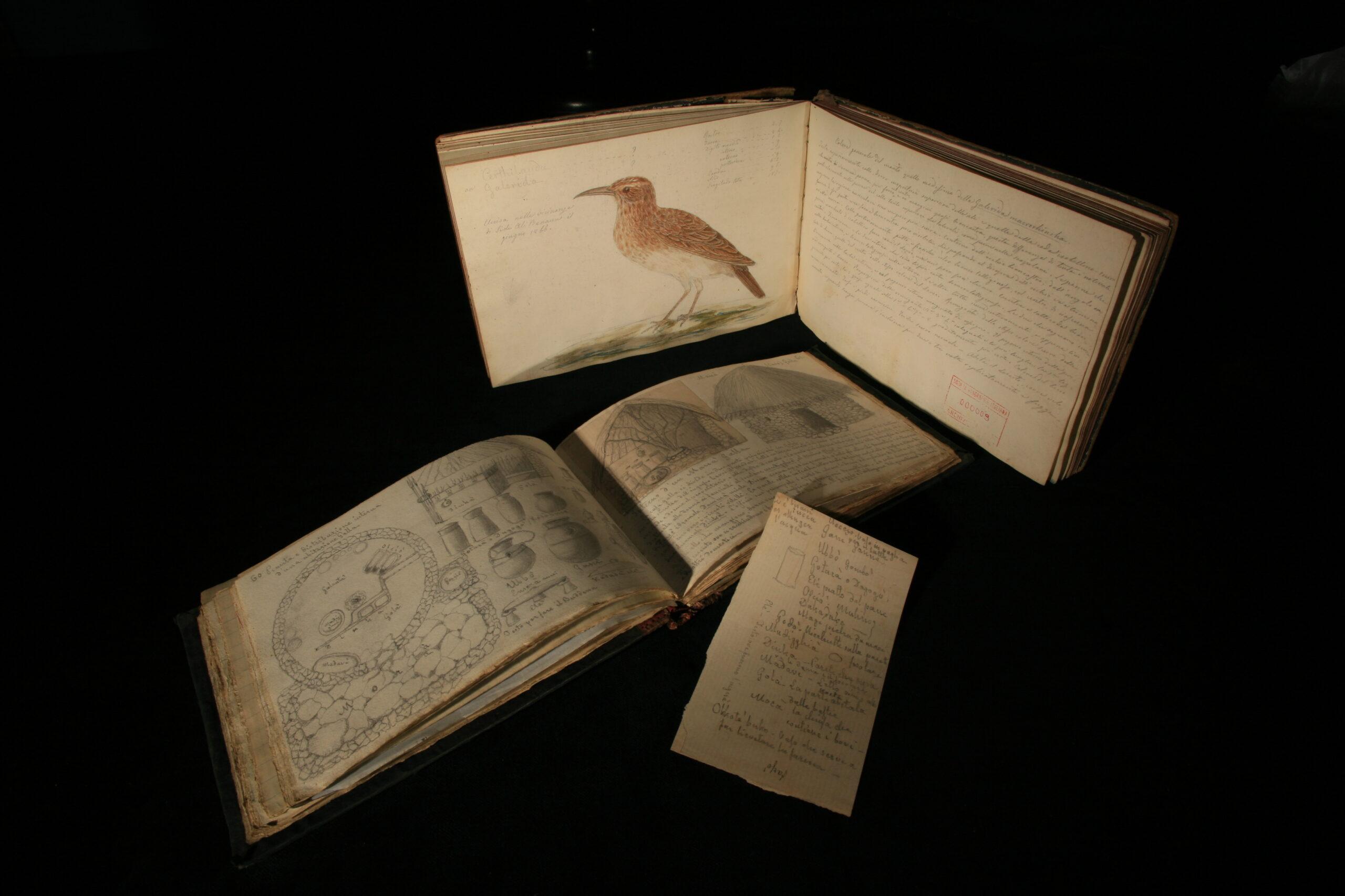 frlazio900.gamma.promemoriagroup.com