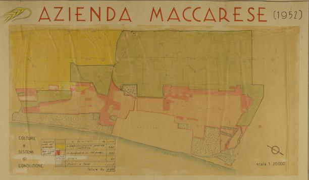 frlazio900.gamma.promemoriagroup.com