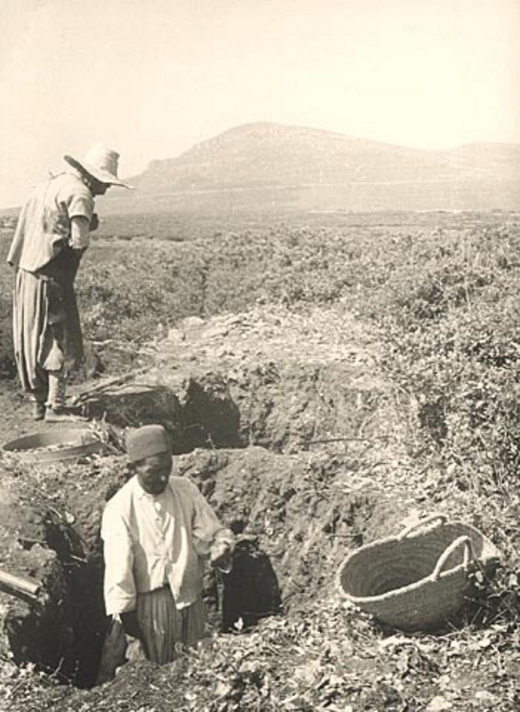 Necropoli cartaginese di Rass Achaggar