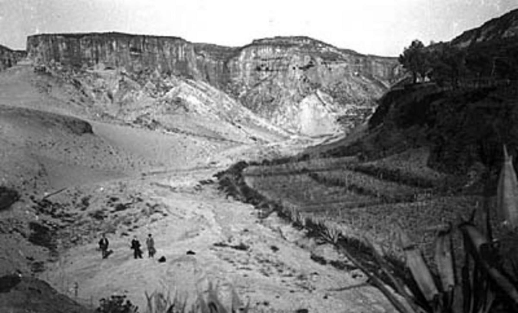 Terreti, campi coltivati