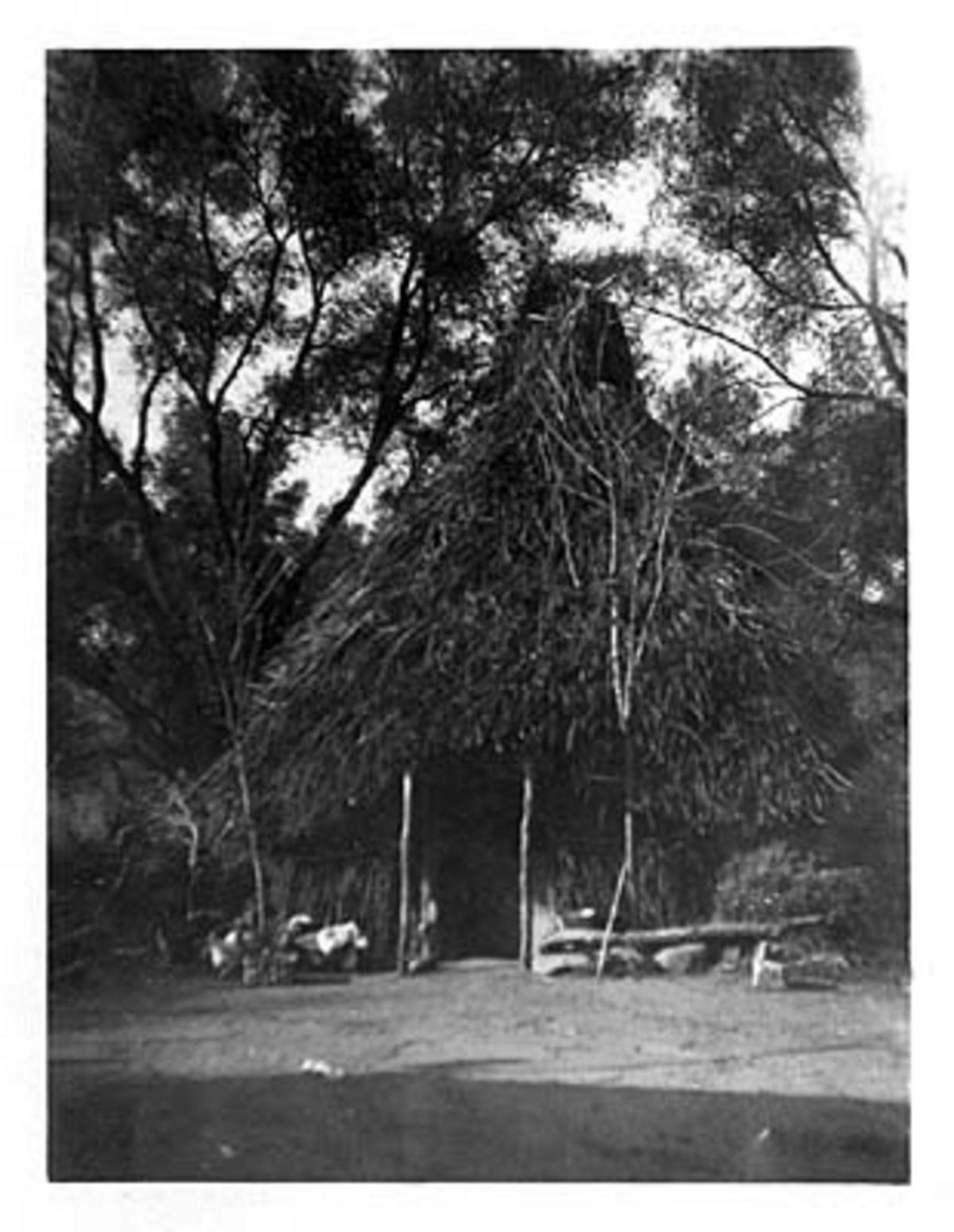 San Ferdinando di Rosarno. Le paludi