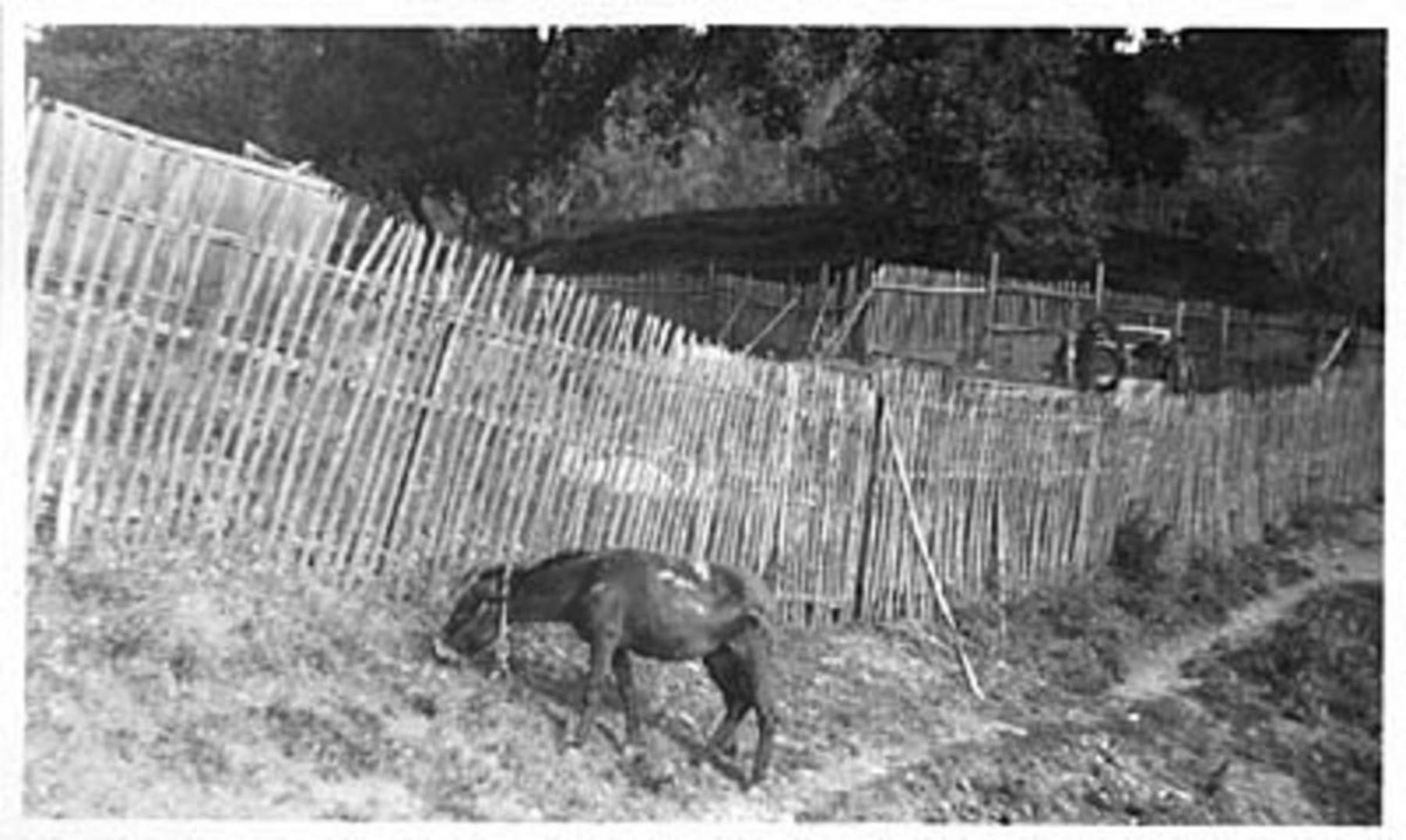 Laganadi, il cimitero