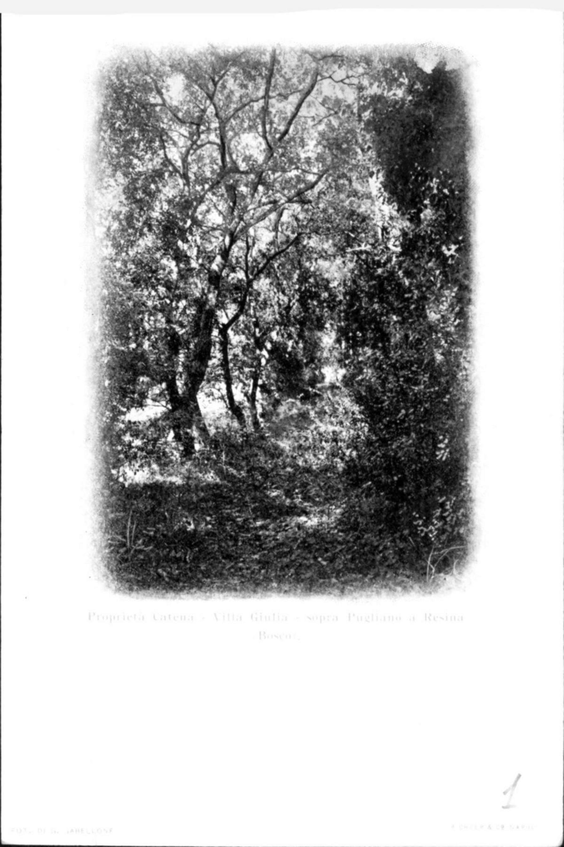 Fotografie. Ville familiari di Potenza e Resina