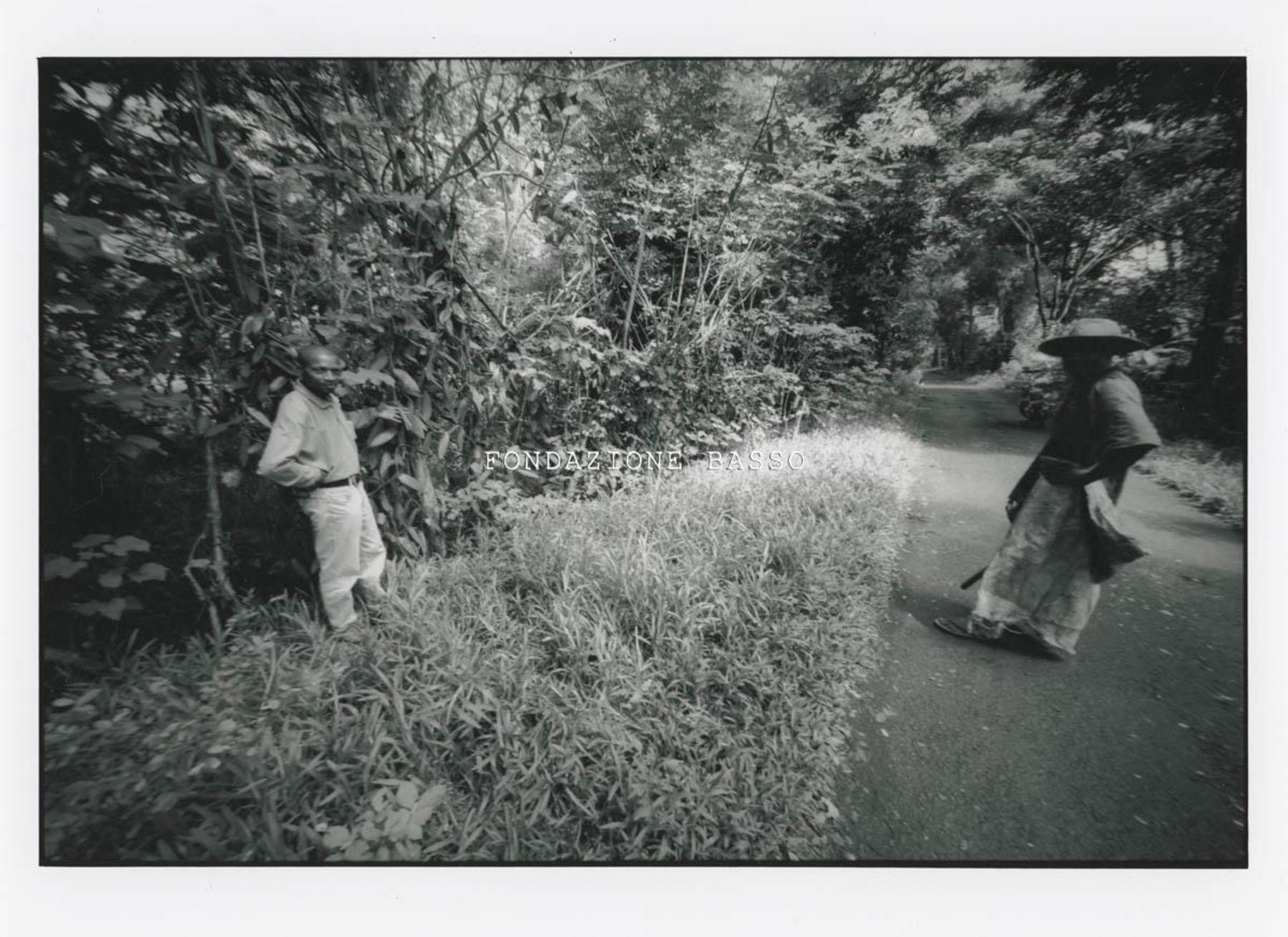 "Coltivazione essenza"