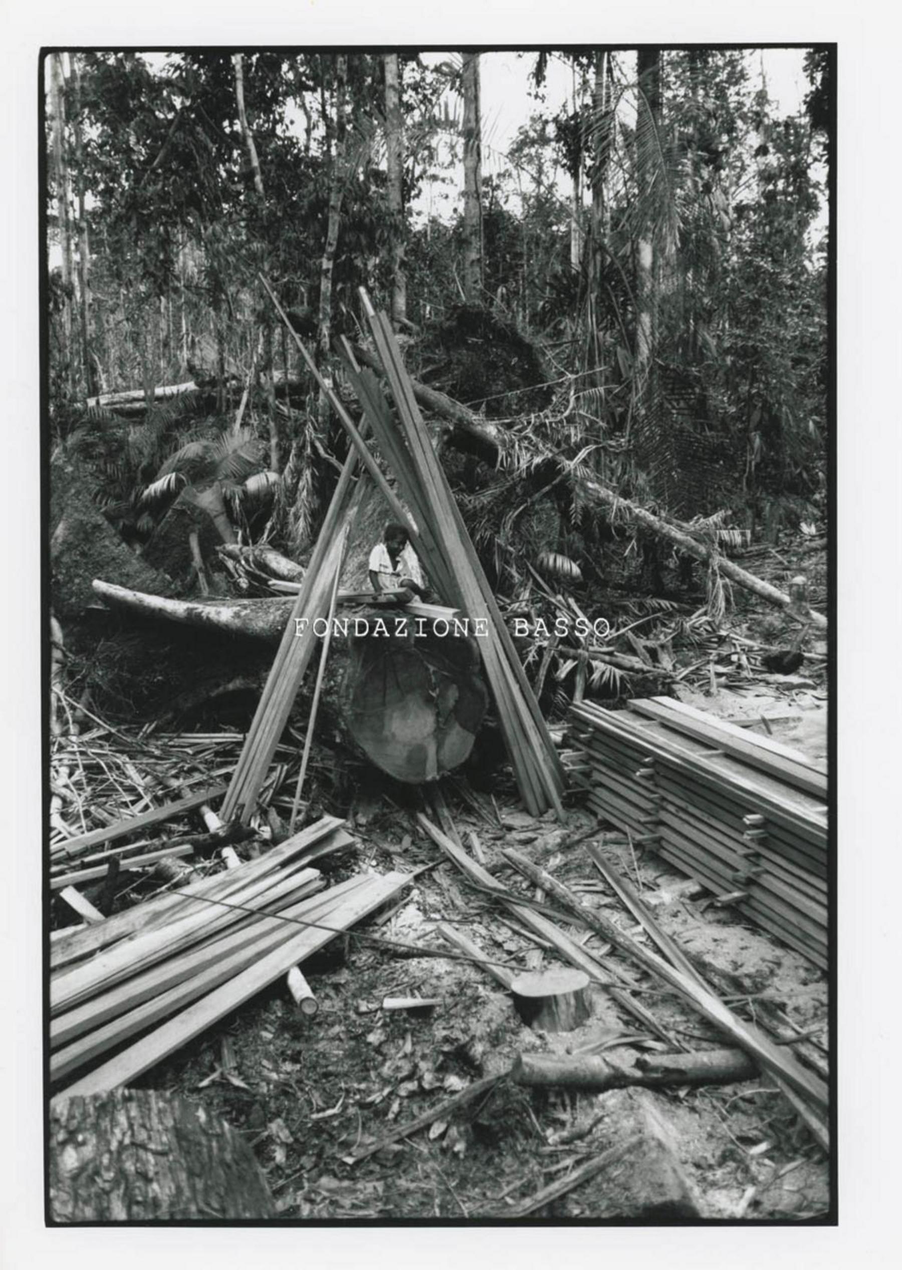 "Tagliare gli alberi"