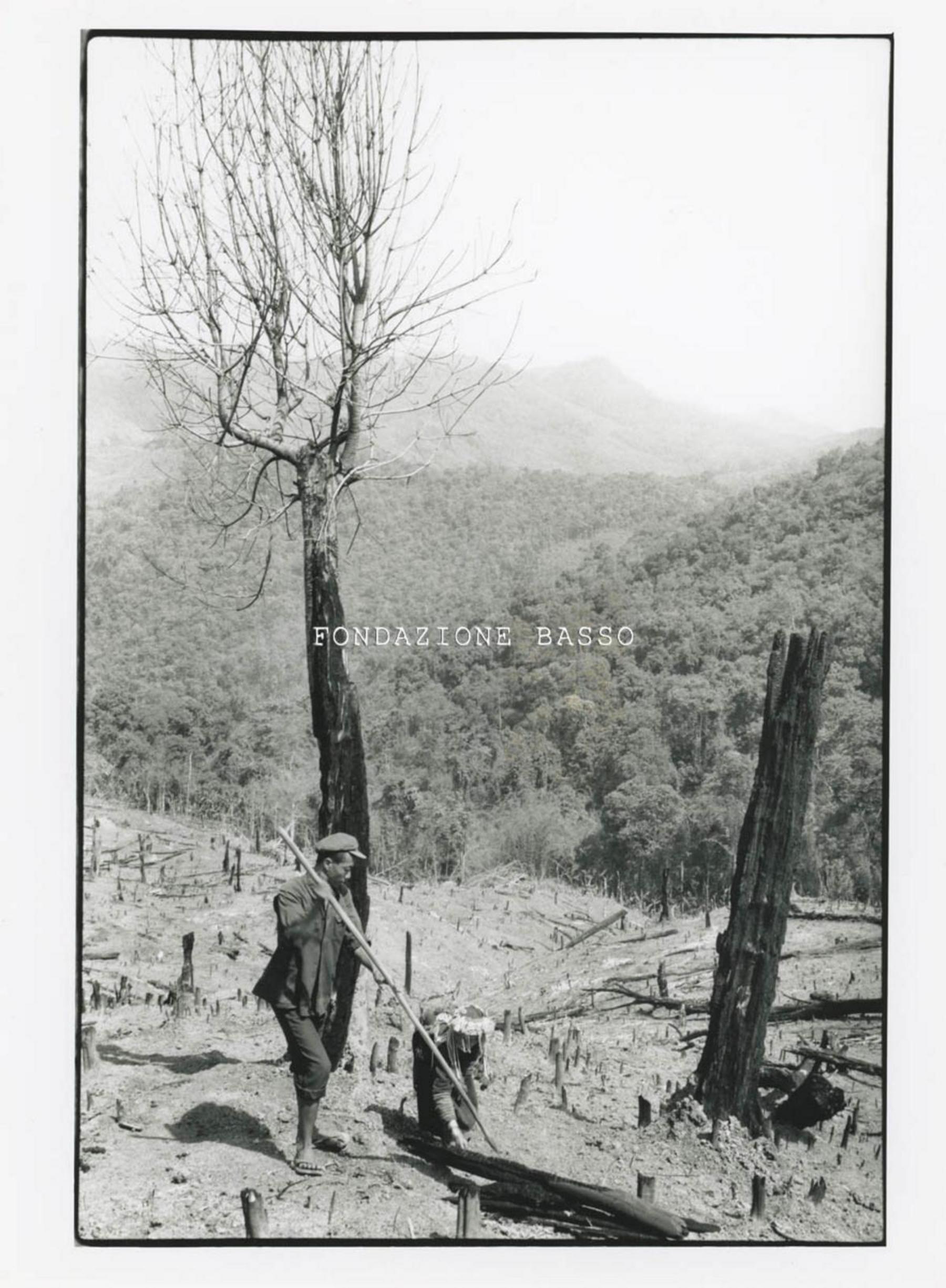 Momento della semina