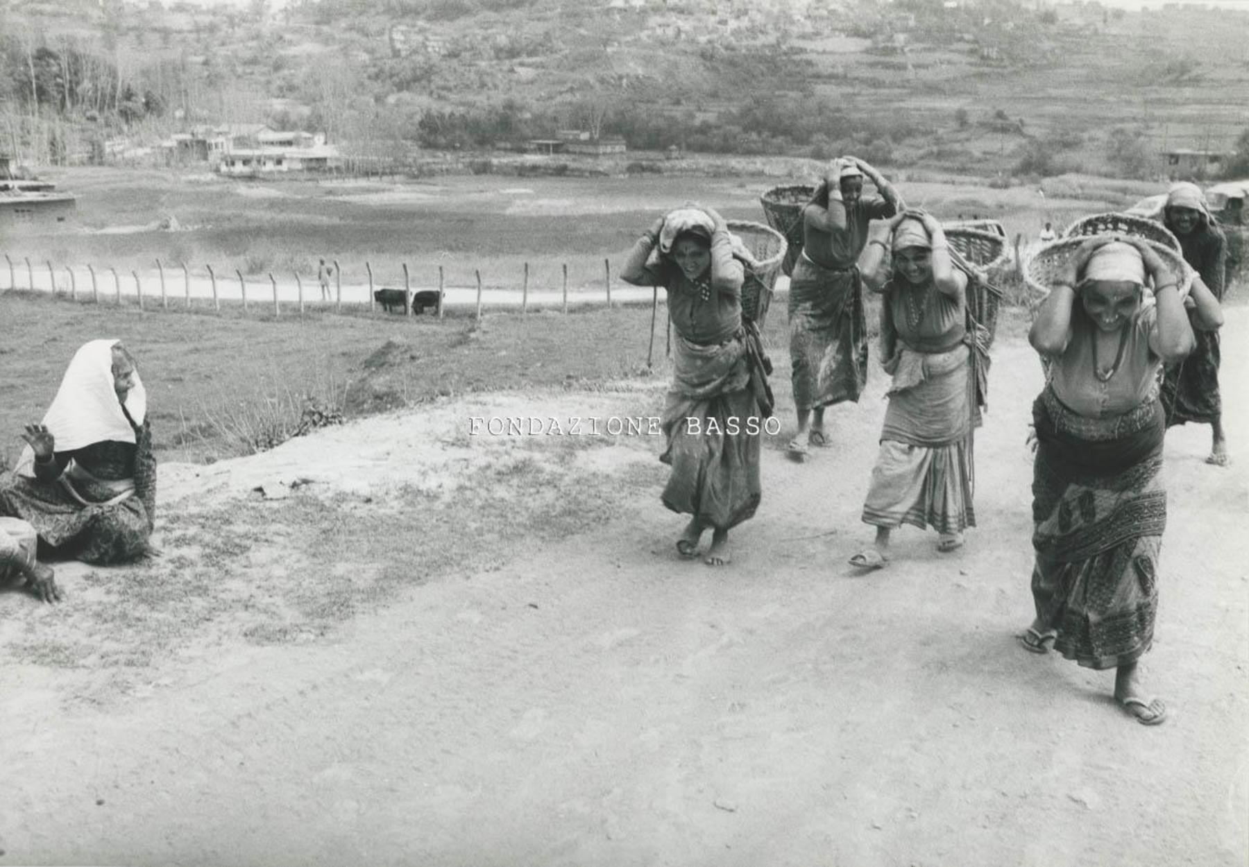 "Coltivazione patate"