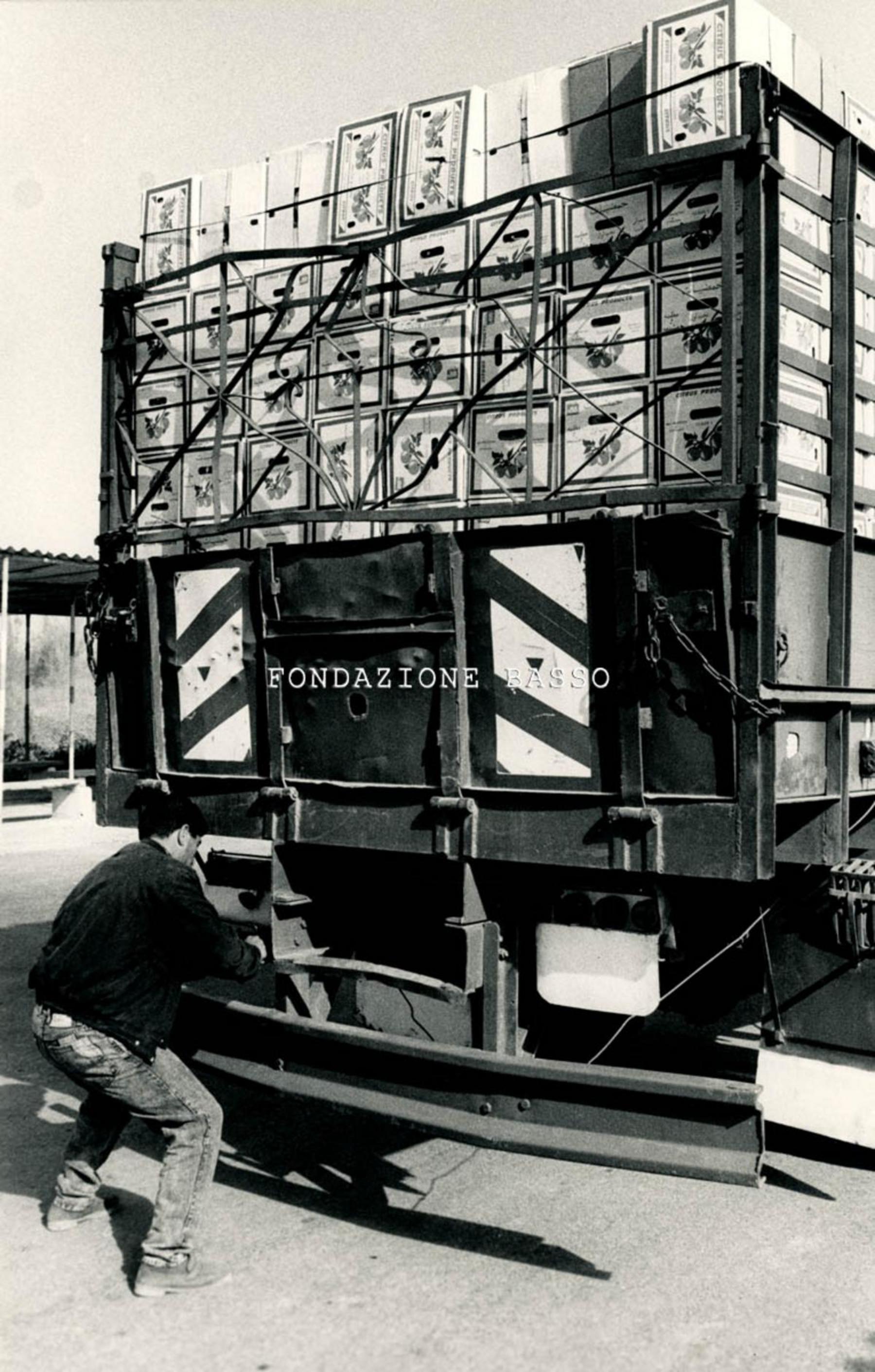 "Camion carico di arance"